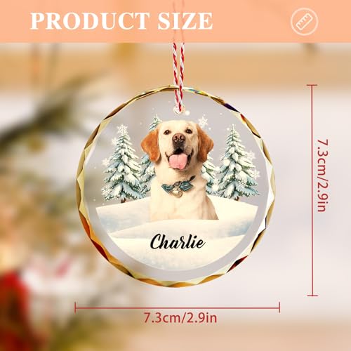 Custom Pet Christmas Ornament with Photo