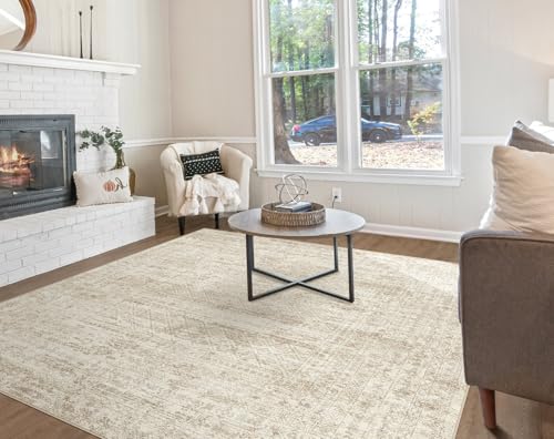 Square Area Rugs