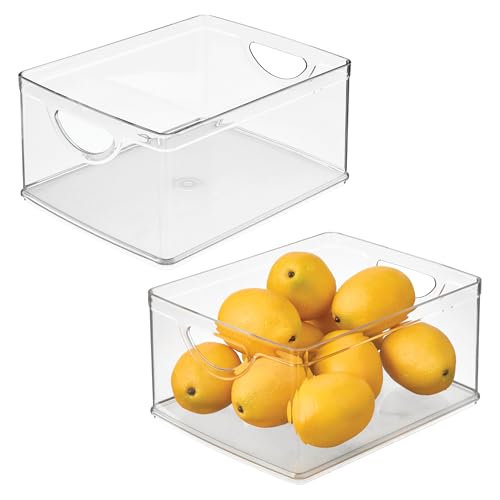 Pantry Storage Bins with Handles (2 Count)