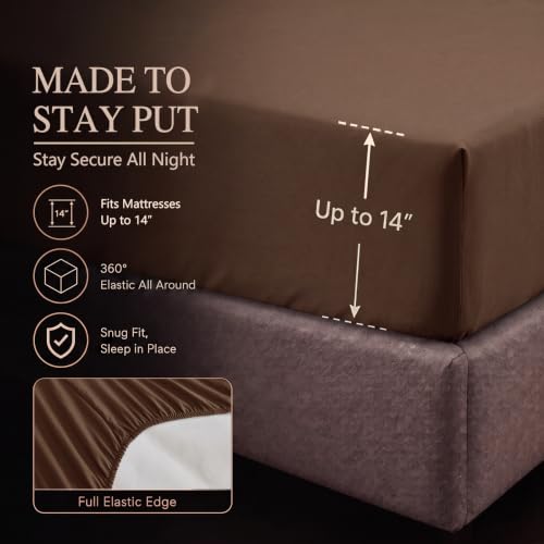 Oversized Queen Comforter Set Brown