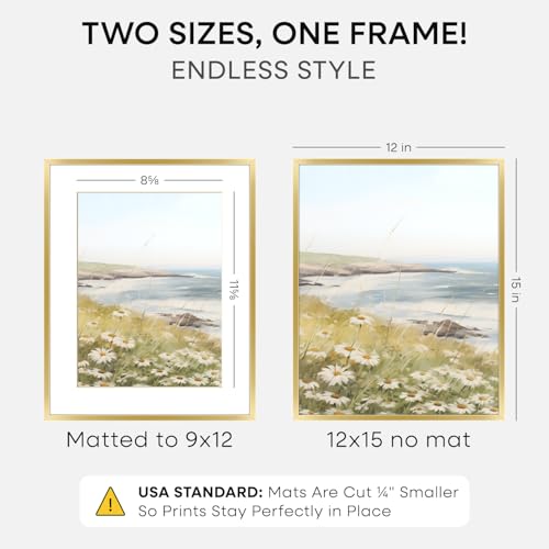 12x15 Gold Picture Frame (2 Count)