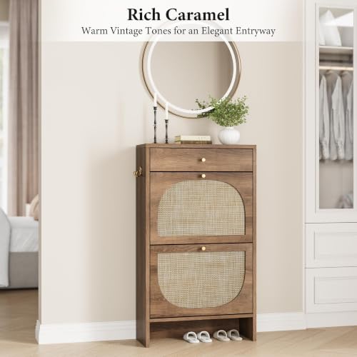 Shoe Cabinet for Entryway