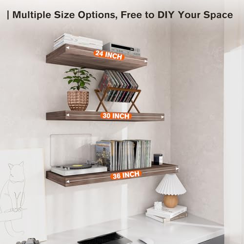 Floating Shelf (2 Count)