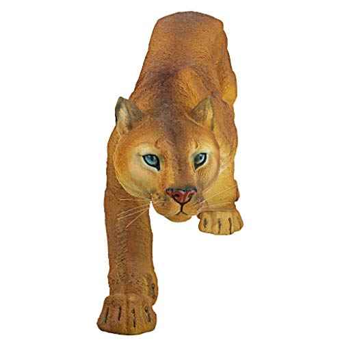 Prowling American Mountain Cougar Indoor