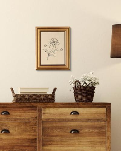 Vintage Gold Framed Wall Art for Living Room
