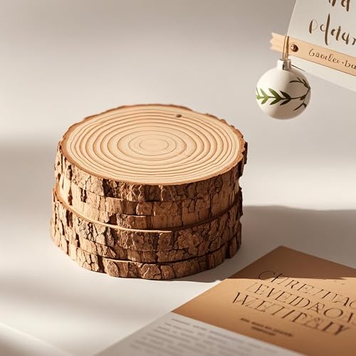 20PCS Pre Drilled Wood Slices with Holes (20 Count)