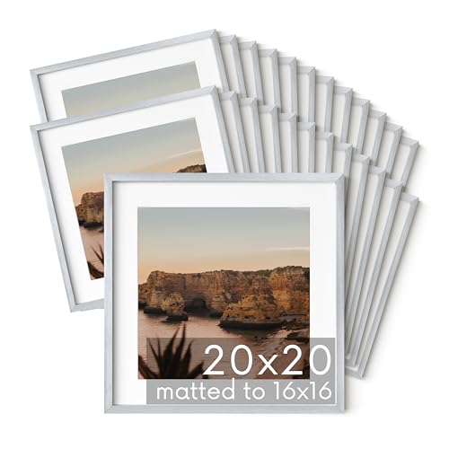 20x20 Silver Metal Picture Frames Matted to 16x16