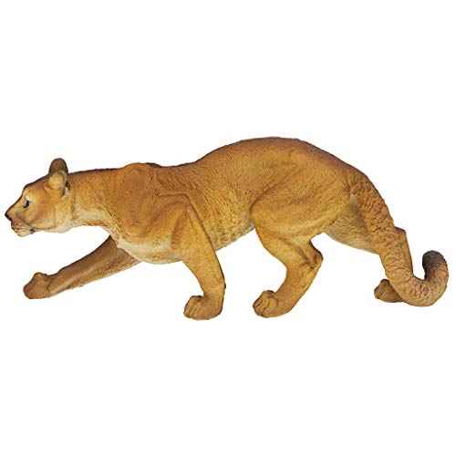 Prowling American Mountain Cougar Indoor