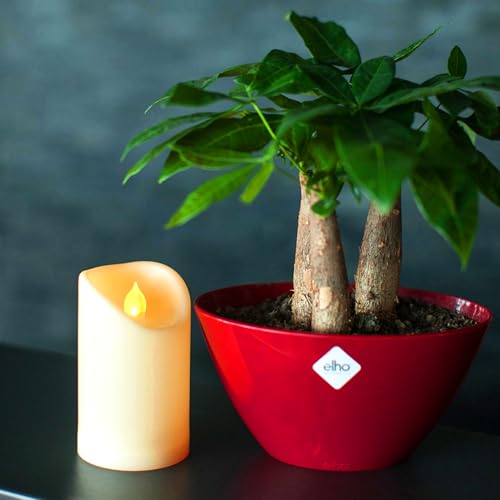 Outdoor Battery Operated Flameless Candles with Remote Timer Waterproof Flickering Plastic Electric LED Pillar Lights for Lantern Patio Garden Wedding Party Decorations 3x5 Inches 2 Pack (2 Count)