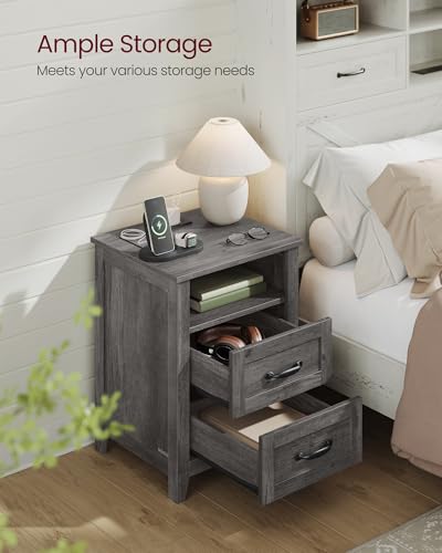 Set of 2 Nightstands with 2 Drawers and Charging Station (2 Count)