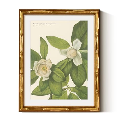 Gold Framed Bamboo Wall Art