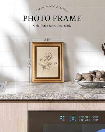 Vintage Gold Framed Wall Art for Living Room
