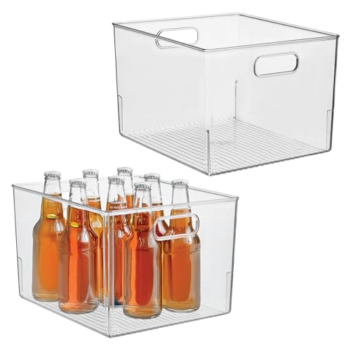 Storage Bin with Handles (2 Count)