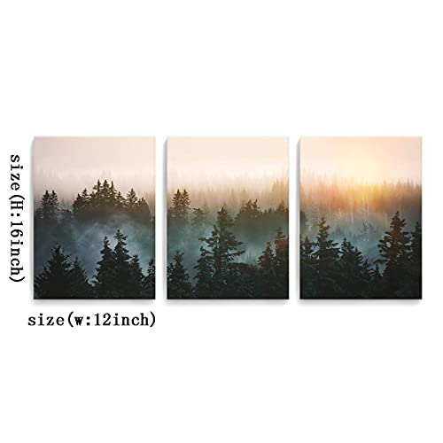 Forest Bathed in Sunlight Canvas Print Picture Painting Wall Art for Bedroom Living Room Framed 3 Piece Artwork Wall Decor for Bathroom Modern Room Plants Wall Decorations Size 12x16x3 Ready to Hang