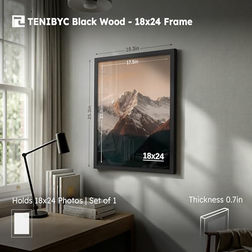 18x24 Poster Frame