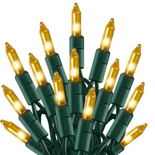 Christmas Lights (21 Foot)