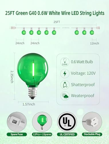 25Ft LED Outdoor String Lights with 12+1 Shatterproof Bulbs (25 Foot)