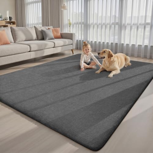 8x10 Area Rugs for Bedroom Living Room