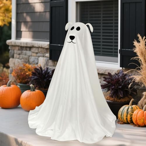 Halloween Decorations
