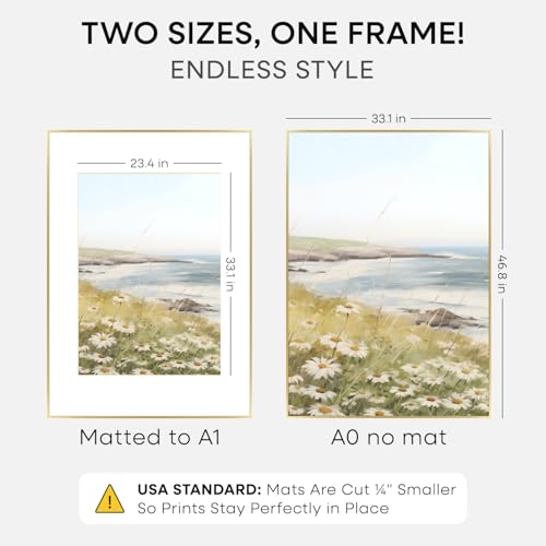 A0 Gold Poster Frame (2 Count)
