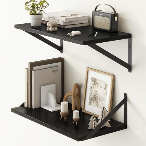 20 Inch Floating Shelves for Wall (2 Count)