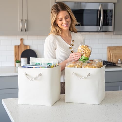11x11 Cube Storage Bins (4 Count)