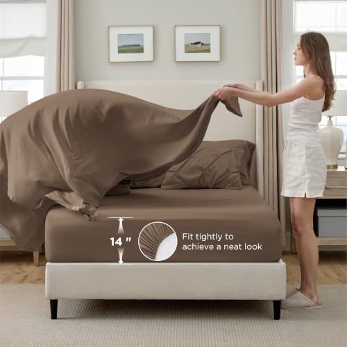 Twin Comforter Set & Sheet Set