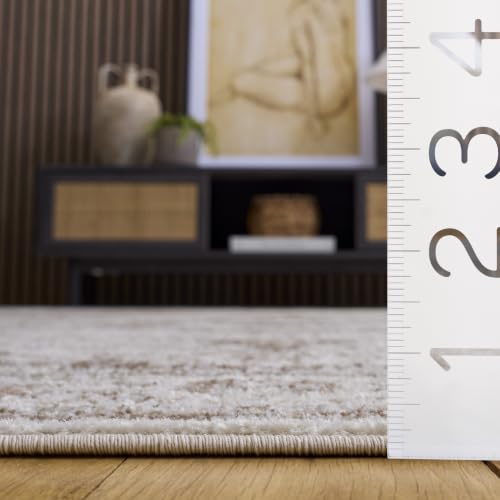 Evoke Area Rug 6'7"x9' (59.3 Sq Ft)