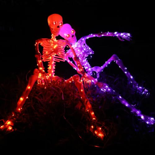 Halloween Decorations Outdoor Skeletons Set (Orange + Purple)