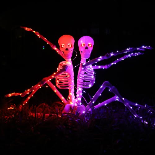 Halloween Decorations Outdoor Skeletons Set (Orange + Purple)