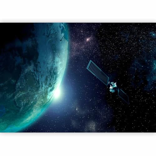 Wall Mural Wallpaper (8 Count)