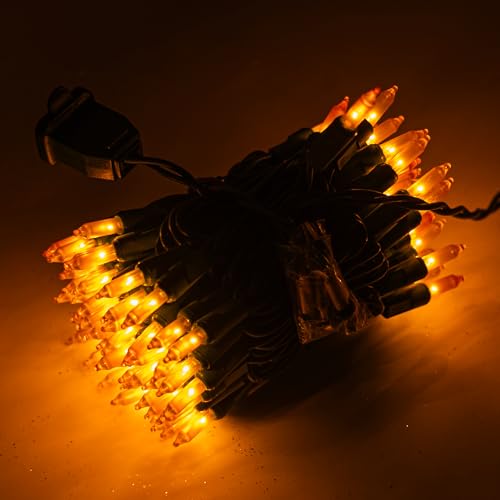 Christmas Lights (21 Foot)