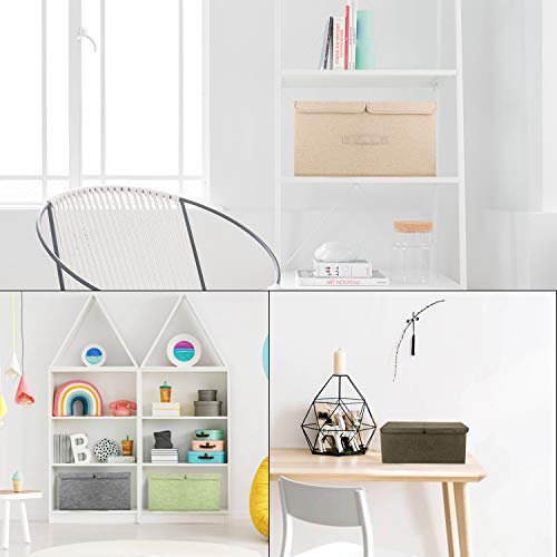 2 Pack Storage Boxes with Lids and Handles (2 Count)