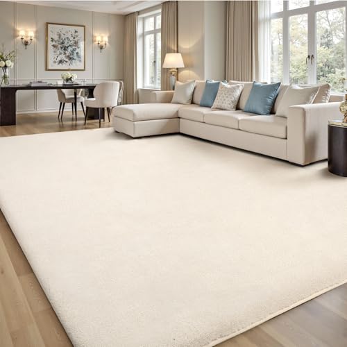 8x10 Area Rugs for Living Room Bedroom