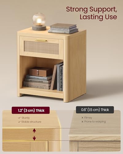 Set of 2 Boho Nightstands with Rattan (2 Count)