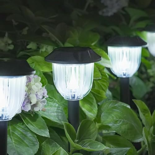 Bright 12 Pack Solar Lights Outdoor IP65 Waterproof (12 Count)