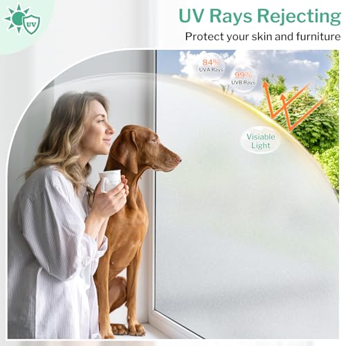 Frosted Glass Window Privacy Film (2777.52 sq inch sq inch)