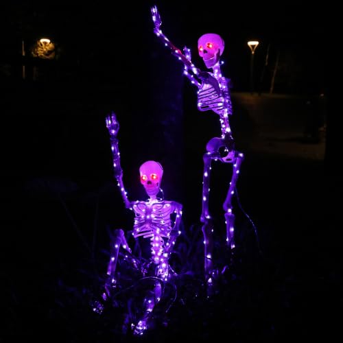 Halloween Decorations Outdoor Skeletons Set (Purple)
