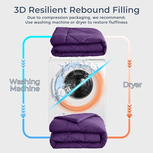 5 Piece Twin Comforter Set
