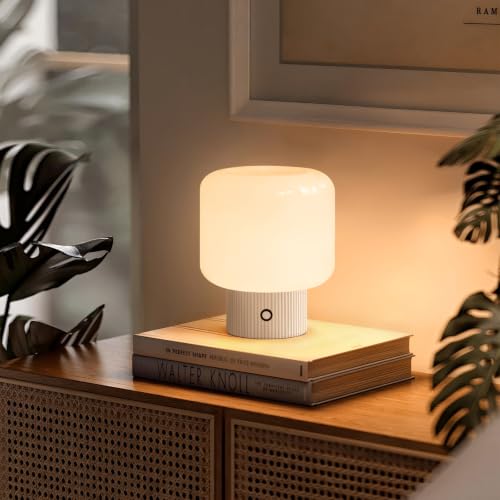 Halo Mushroom Lamp