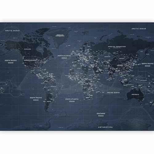 Wall Mural World Map 154x110 in (118.18 Sq Ft)