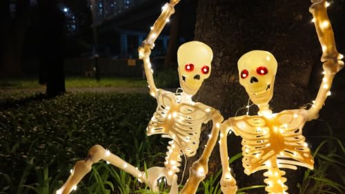 2PCS Halloween Lighted Skeletons Decoration White Light and Red Light Eyes (White LED Light)