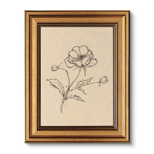 Vintage Gold Framed Wall Art for Living Room