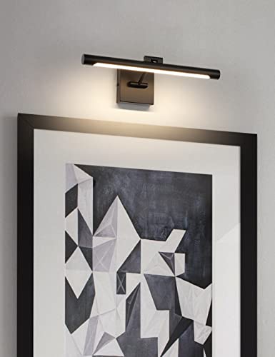 LED Picture Light Fixtures 16.53" Inches Long Modern Black Wall Lamps with Rotatable Lighting Tube Picture Frame Lights for Paintings 7W