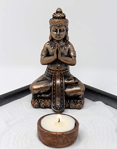 Mini Zen Garden Kit for Desk with Rake