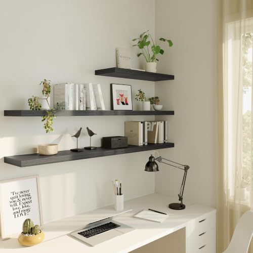 Wall Shelf Set of 2 (2 Count)