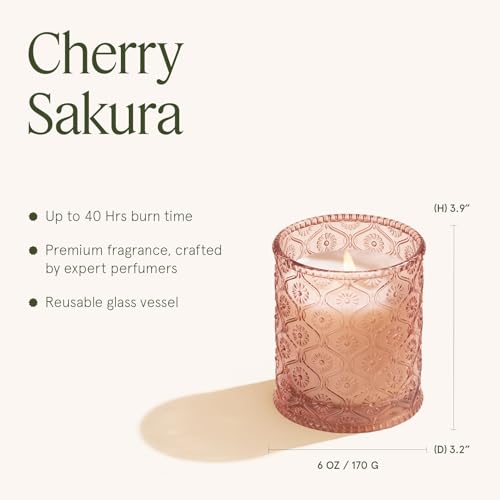 Cherry Sakura Scented Candles for Home (6 Ounce)