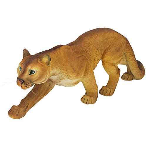 Prowling American Mountain Cougar Indoor