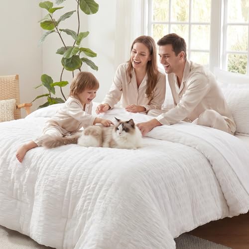 Full Size Comforter Sets