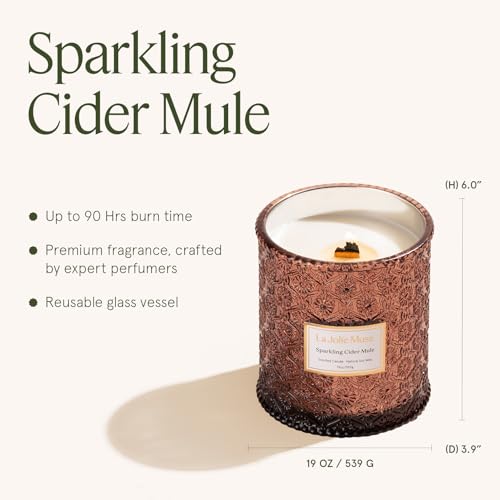 Sparkling Cider Mule Scented Candles for Home